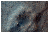 Sample Surface Texture