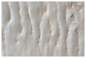 High Southern Latitude Terrain
