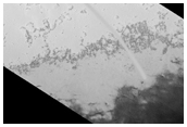 South Polar Sample