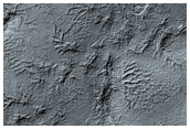 South Polar Layered Deposits Survey