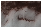 South Polar Layered Deposits Survey