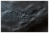 South Polar Terrain