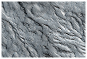 Western Flank of Olympus Mons