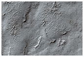 South Polar Layered Deposits Survey