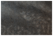 South Polar Layered Deposits Survey
