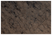 South Polar Layered Deposits Survey