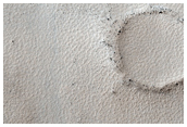 Year-Round Monitoring of Dark Filamentary Streak in Noachis Region