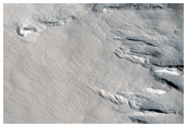 Gordii Dorsum
