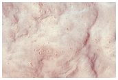 Terra Cimmeria