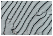Good Fingerprint Terrain with Sawtooth Patterns