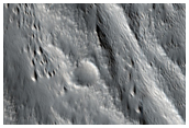 Swarms of Discontinous Ridges or Elongated Mounds on Valley Floor