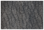 South Polar Region