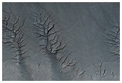 South Polar Layered Deposits - Late Summer Compared with Spring