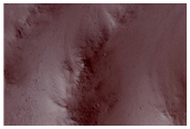 Platy-Ridged Surface Inside Northern Branch of Kasei Valles
