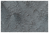 Dendritic Surface Texture of South Polar Layered Deposits Surface