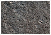 Possible Aeolian Bedforms in Ascraeus Caldera