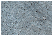 High-Latitude Patterned Ground Sample
