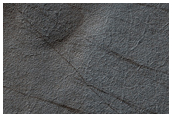 High Southern Latitude Patterned Ground Sample
