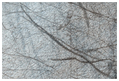 South High Latitude Terrain