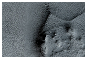 High-Latitude Gullies