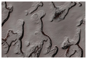 Surface of South Polar Residual Ice