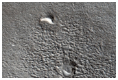 Sample Knobs North East of Elysium Region