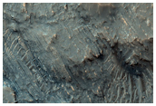 Layered Bedrock Exposed in the Central Uplift of Martin Crater