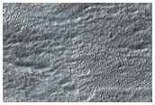 Surface Morphology of Rock Glacier-Like Landform around Euripus Mons