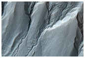 Gullies with Meandering Channels and Channels That Widen Downslope