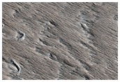 New Dark Spot Impact Crater