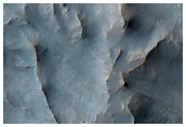 Ridges and Diverse Surface Textures