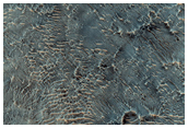 Crater in Terra Tyrrhena with Olivine Signature
