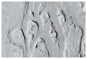 Channel Segment Amid Platy-Ridged Flows in Central Elysium Planitia