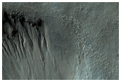 Gullies in Southern Latitude Crater