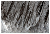 Equatorial Region