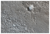 Surface Materials