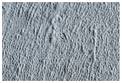 Material in Mamers Valles That Seems to Have Flowed