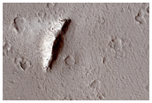 Low-Albedo Halo Around Segment of Cerberus Fossae