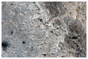 Large Region of Layering in Meridiani Planum
