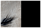 Complex Terrain of Hellas Basin Floor
