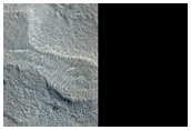 Albedo Boundary