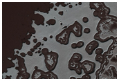 Exposure of South Polar Layered Deposits