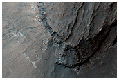 Layered Sediments in Terby Crater