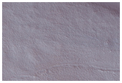 Nilosyrtis Region Albedo Boundary