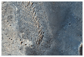 Sinuous Features in Light-Toned Material