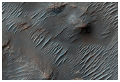Dendritic Valley System in Noachis Region