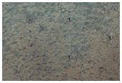 Echus Chasma Albedo Boundary