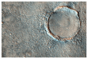 Large-Scale Polygonal Fissures