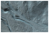 Gullies with Bright Material of Channel Walls