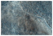 Large-Scale Polygonal Fissures